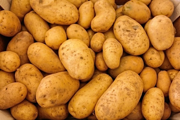 Эксперты Роскачества помогут выбрать картофель