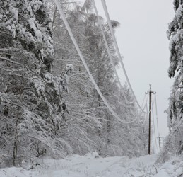 В Псковской области идет работа по восстановлению электроснабжения после прохождения снежного циклона